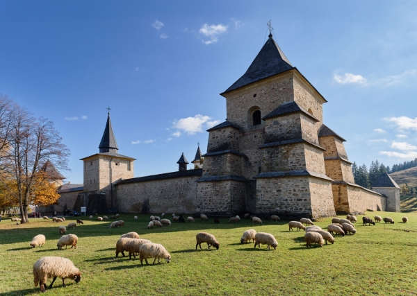 Mănăstirea Suceviţa