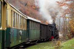 Mocanita Viseu de Sus: A Magical Train Ride